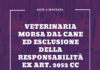 responsabilità padrone cane