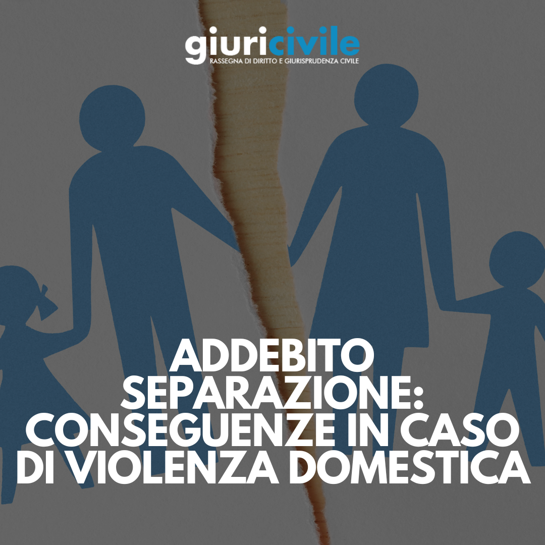 Denuncia Per Violenza Domestica Conseguenze