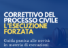 correttivo processo civile esecuzione forzata