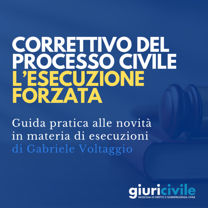 correttivo processo civile esecuzione forzata