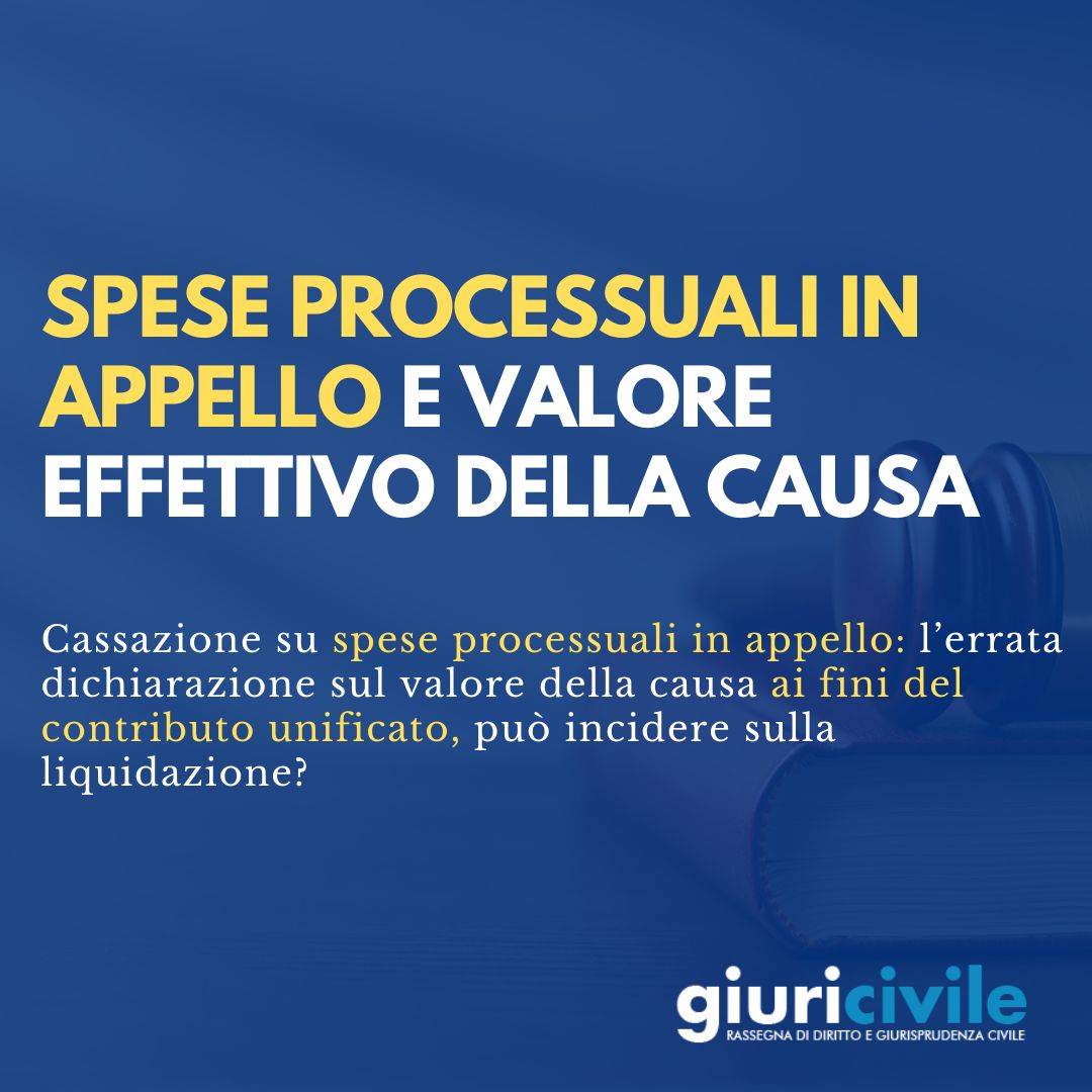 Spese processuali in appello e valore effettivo della causa Spese processuali in appello e valore effettivo della causa
