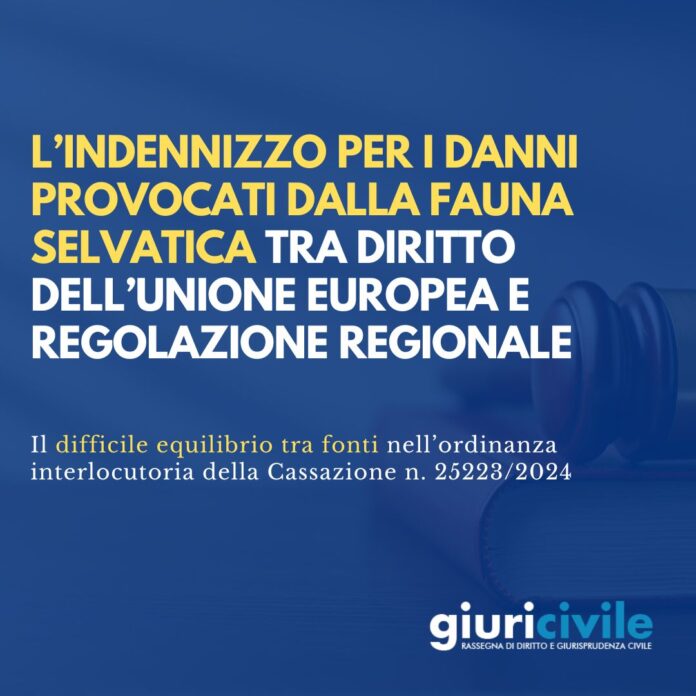 Immagine per guide Giuricivile - 2025-06-24T231135.884