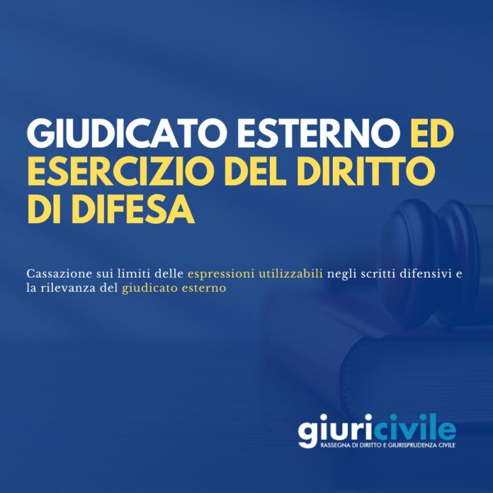 Immagine per guide Giuricivile - 2025-08-28T135722.355