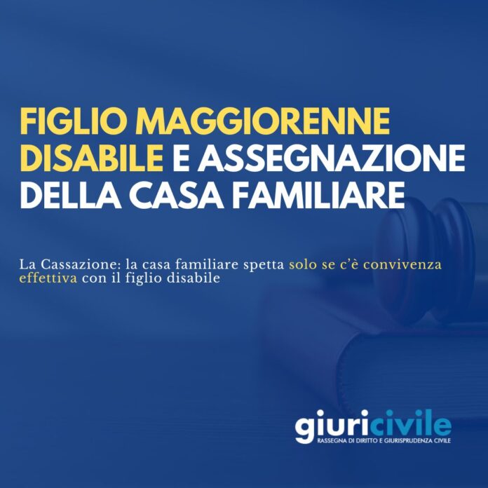Immagine per guide Giuricivile - 2025-10-23T120102.728