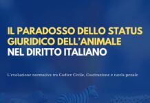 Dalla res al soggetto senziente: il paradosso dello status giuridico dell’animale nel diritto italiano