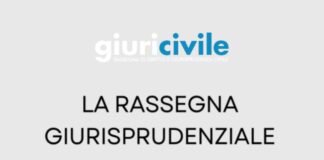 Rassegna giurisprudenziale del 19 novembre