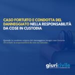 Caso fortuito e condotta del danneggiato nella responsabilità da cose in custodia