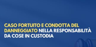 Caso fortuito e condotta del danneggiato nella responsabilità da cose in custodia