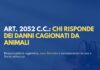Responsabilità per danno cagionato da animali: natura oggettiva e limiti del caso fortuito