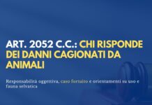 Responsabilità per danno cagionato da animali: natura oggettiva e limiti del caso fortuito