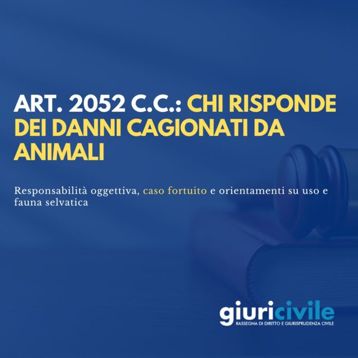 Immagine per guide Giuricivile - 2026-02-16T131147.142