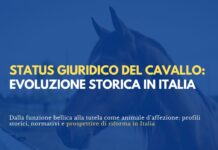 Da animale da guerra a animale d’affezione: evoluzione storica e trasformazione dello status giuridico del cavallo in Italia