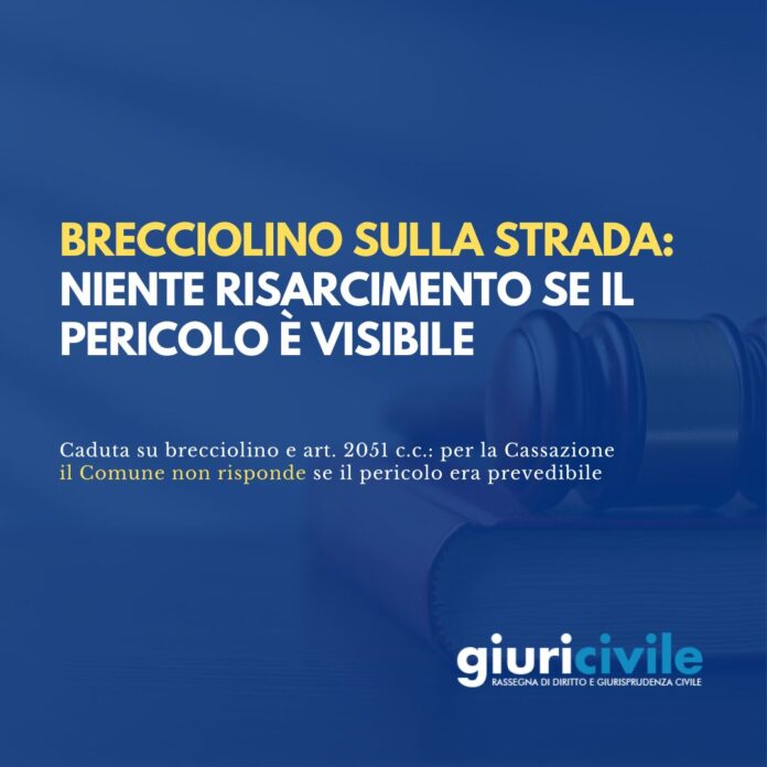 Immagine per guide Giuricivile - 2026-06-09T110903.877