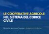 Le cooperative agricole nel sistema del codice civile. Mutualità, gestione d’impresa e prospettive di riforma