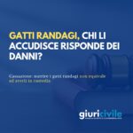Gatti randagi, chi li accudisce risponde dei danni?