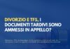 Divorzio e TFS, i documenti tardivi sono ammessi in appello? La Cassazione rinvia a pubblica udienza